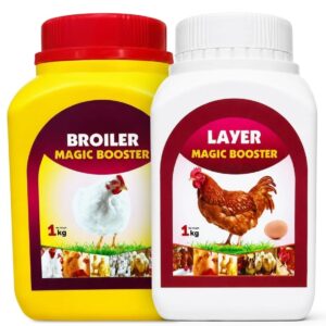 Home broiler and layer