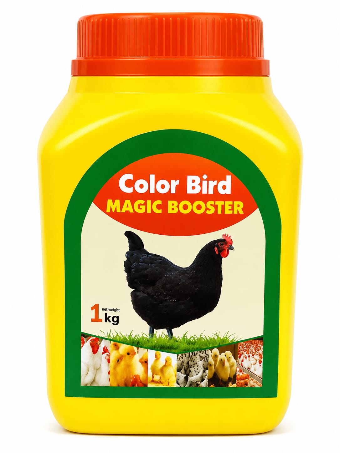 colour bird colour bird