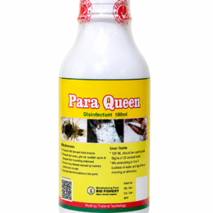 Home paraqueen web