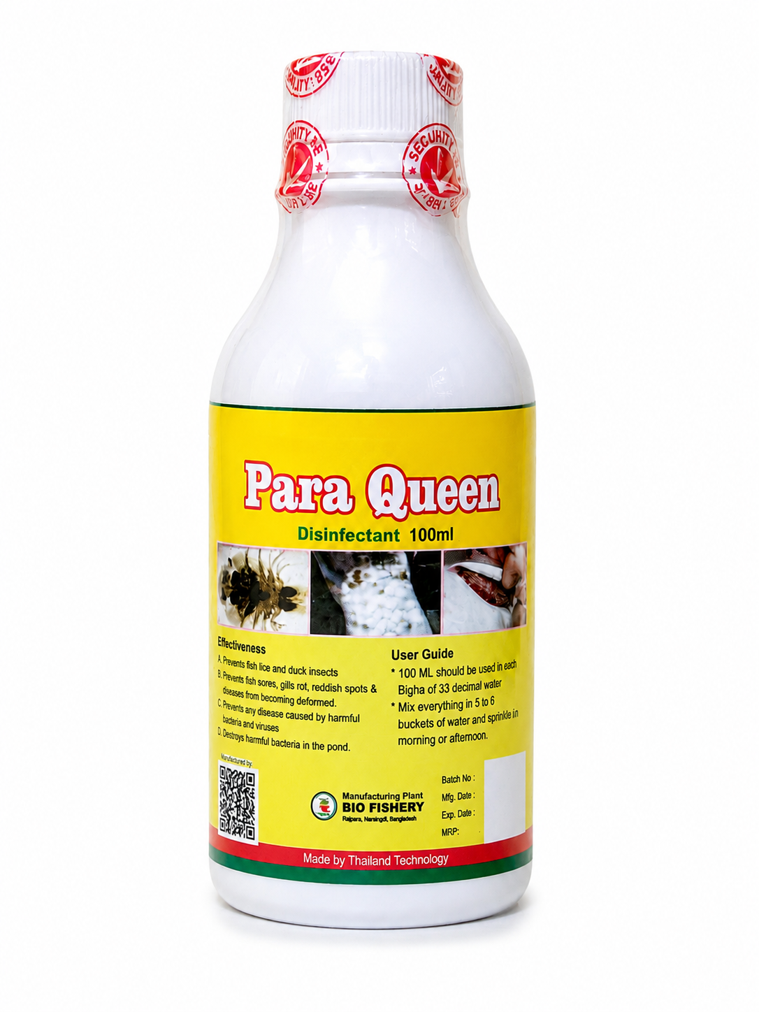 paraqueen web paraqueen web