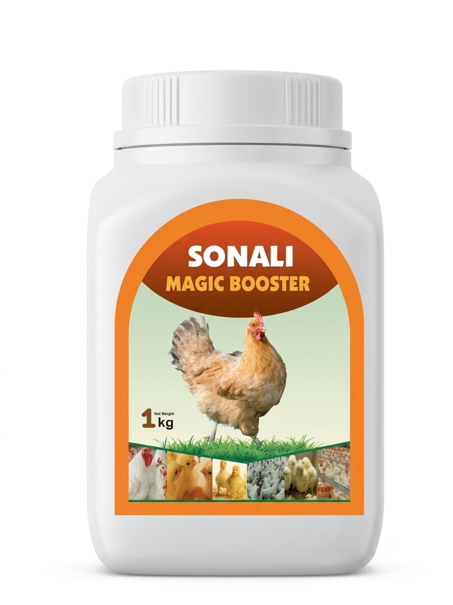 sonali web sonali web